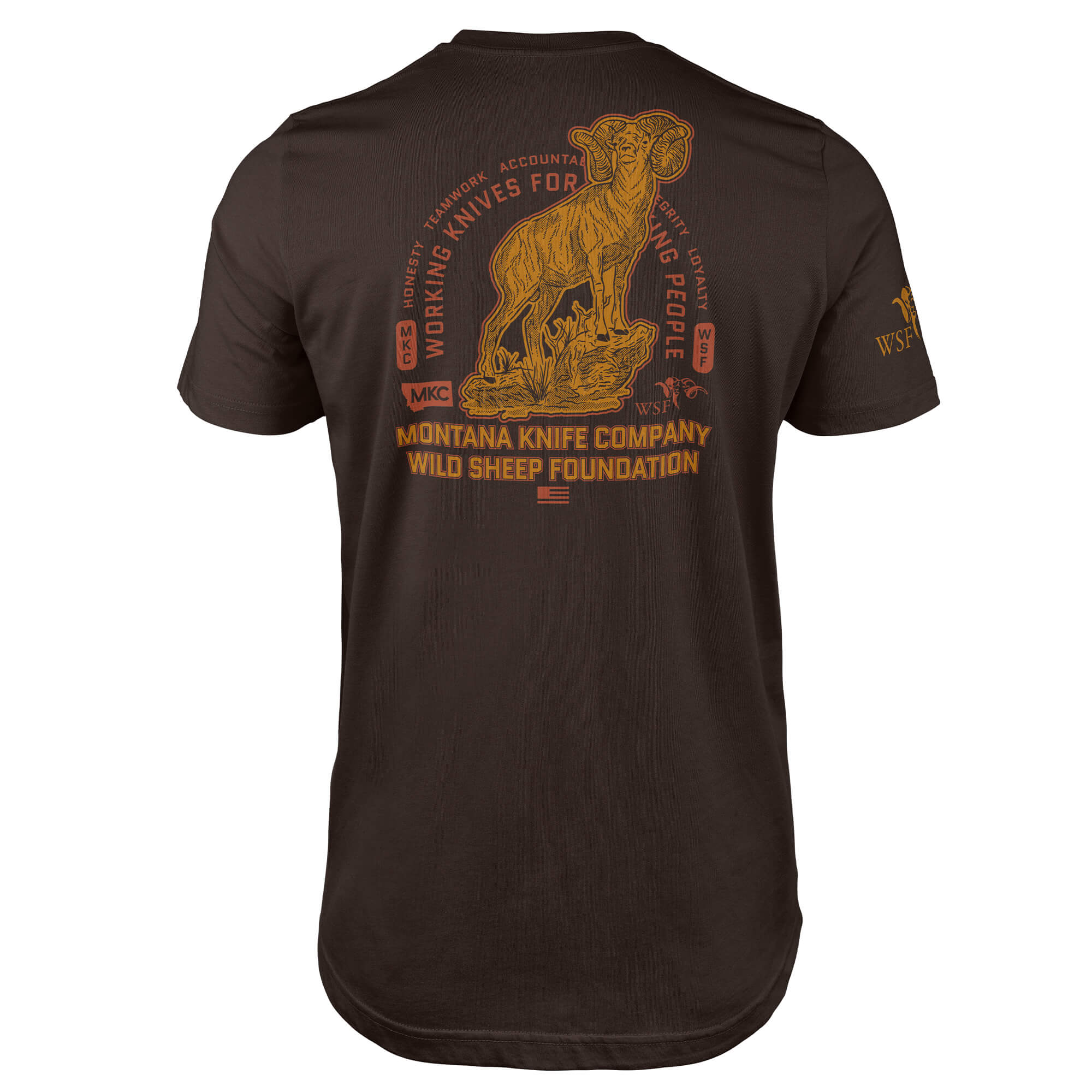 001-WSF-TEE2.0